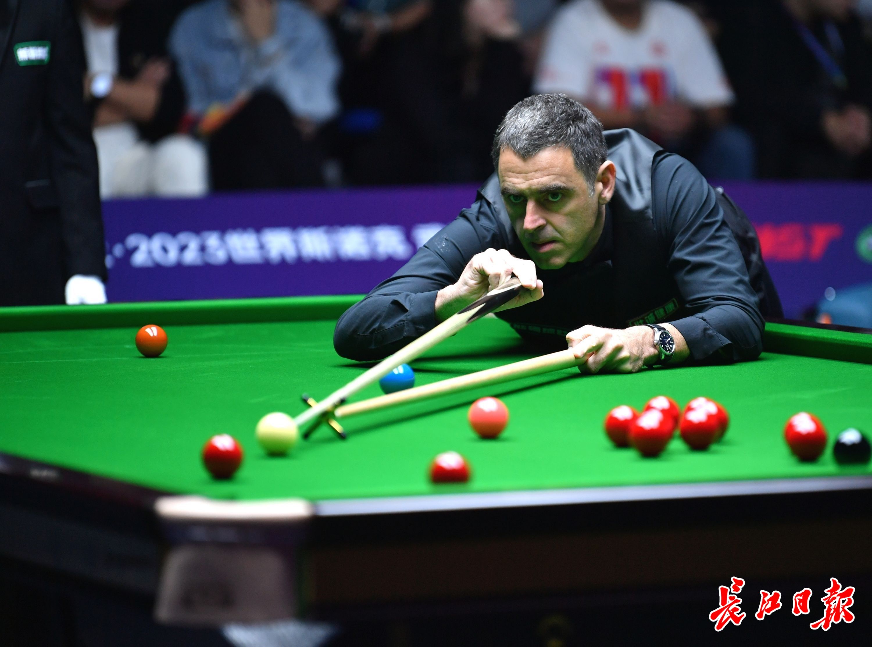 足迹正逐渐 足迹正逐渐