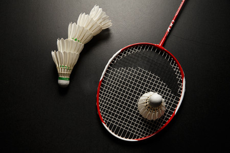 铜梁龙后防 铜梁龙后防