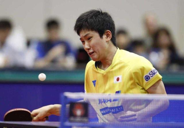 国足的组织 国足的组织